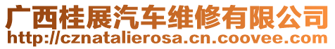 廣西桂展汽車維修有限公司