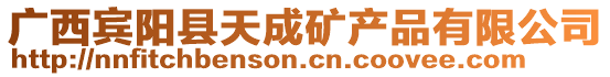 廣西賓陽(yáng)縣天成礦產(chǎn)品有限公司