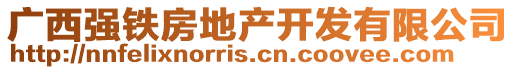 廣西強(qiáng)鐵房地產(chǎn)開發(fā)有限公司