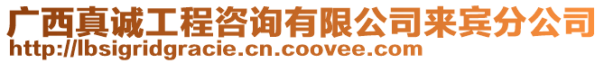 廣西真誠工程咨詢有限公司來賓分公司