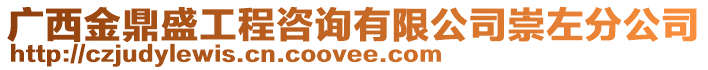 廣西金鼎盛工程咨詢有限公司崇左分公司