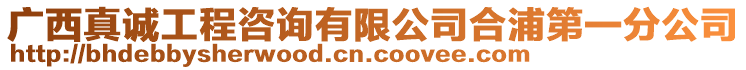 廣西真誠工程咨詢有限公司合浦第一分公司