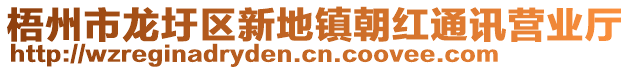 梧州市龍圩區(qū)新地鎮(zhèn)朝紅通訊營(yíng)業(yè)廳