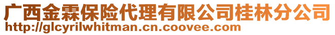 廣西金霖保險代理有限公司桂林分公司