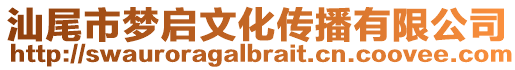 汕尾市夢啟文化傳播有限公司