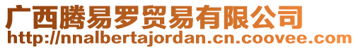 廣西騰易羅貿(mào)易有限公司