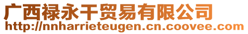 廣西祿永干貿(mào)易有限公司