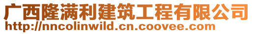 广西隆满利建筑工程有限公司