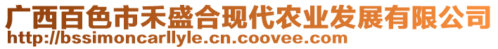 廣西百色市禾盛合現(xiàn)代農(nóng)業(yè)發(fā)展有限公司