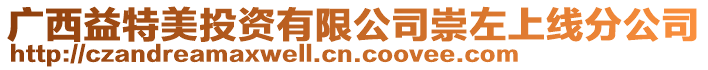 廣西益特美投資有限公司崇左上線分公司