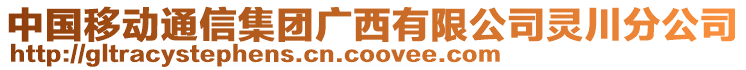 中國(guó)移動(dòng)通信集團(tuán)廣西有限公司靈川分公司