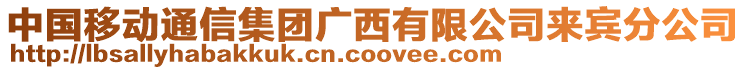 中国移动通信集团广西有限公司来宾分公司