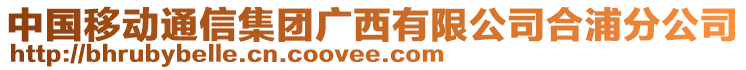 中國(guó)移動(dòng)通信集團(tuán)廣西有限公司合浦分公司