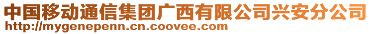 中國(guó)移動(dòng)通信集團(tuán)廣西有限公司興安分公司