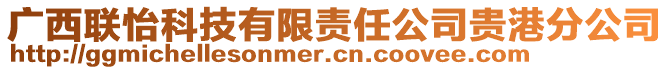 廣西聯(lián)怡科技有限責(zé)任公司貴港分公司