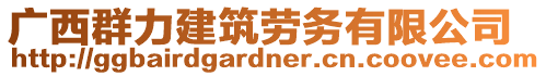 廣西群力建筑勞務有限公司