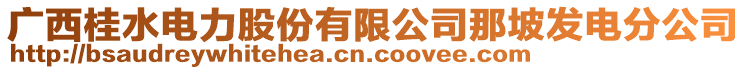 廣西桂水電力股份有限公司那坡發(fā)電分公司