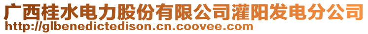 廣西桂水電力股份有限公司灌陽(yáng)發(fā)電分公司