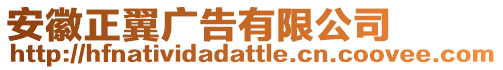 安徽正翼廣告有限公司