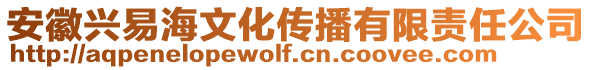 安徽興易海文化傳播有限責任公司