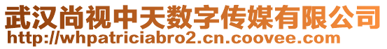 武漢尚視中天數(shù)字傳媒有限公司