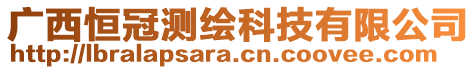 廣西恒冠測(cè)繪科技有限公司