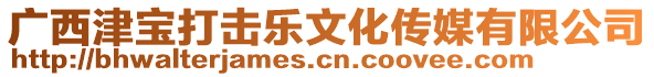 廣西津?qū)毚驌魳肺幕瘋髅接邢薰? style=