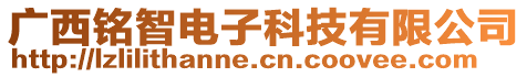 廣西銘智電子科技有限公司