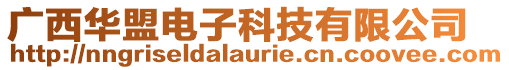 廣西華盟電子科技有限公司
