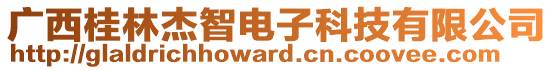 廣西桂林杰智電子科技有限公司