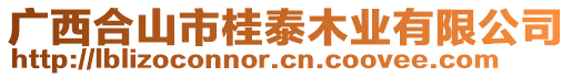 廣西合山市桂泰木業(yè)有限公司