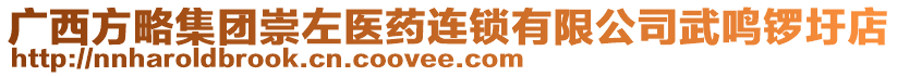 廣西方略集團(tuán)崇左醫(yī)藥連鎖有限公司武鳴鑼圩店