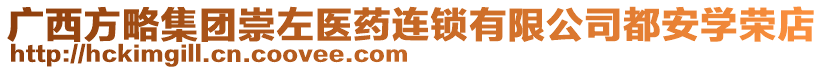 廣西方略集團崇左醫(yī)藥連鎖有限公司都安學(xué)榮店