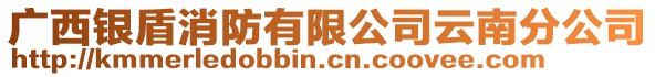 廣西銀盾消防有限公司云南分公司