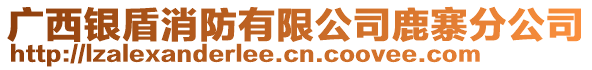 廣西銀盾消防有限公司鹿寨分公司