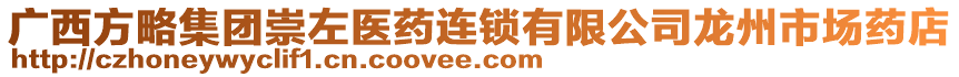 廣西方略集團(tuán)崇左醫(yī)藥連鎖有限公司龍州市場(chǎng)藥店