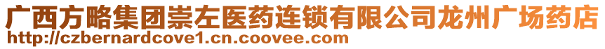 廣西方略集團(tuán)崇左醫(yī)藥連鎖有限公司龍州廣場(chǎng)藥店