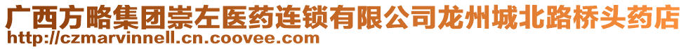 廣西方略集團(tuán)崇左醫(yī)藥連鎖有限公司龍州城北路橋頭藥店