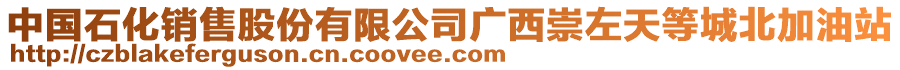 中国石化销售股份有限公司广西崇左天等城北加油站