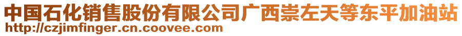 中国石化销售股份有限公司广西崇左天等东平加油站