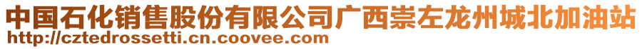 中國(guó)石化銷售股份有限公司廣西崇左龍州城北加油站