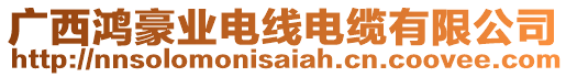 廣西鴻豪業(yè)電線電纜有限公司