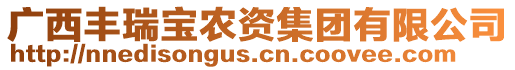廣西豐瑞寶農資集團有限公司