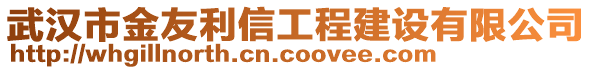 武漢市金友利信工程建設有限公司