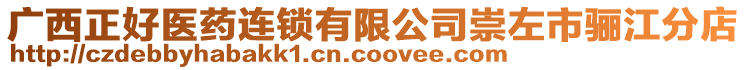 廣西正好醫藥連鎖有限公司崇左市驪江分店