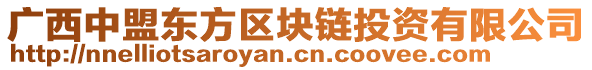 廣西中盟東方區(qū)塊鏈投資有限公司