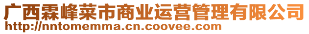 廣西霖峰菜市商業(yè)運(yùn)營(yíng)管理有限公司