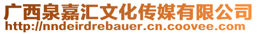 廣西泉嘉匯文化傳媒有限公司