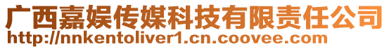 廣西嘉娛傳媒科技有限責(zé)任公司