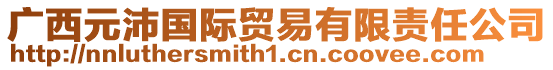 廣西元沛國(guó)際貿(mào)易有限責(zé)任公司